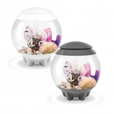 HALO 30 Aquarium with Multi Colour LED Light