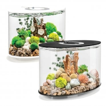 LOOP 15 Aquarium with Multi Colour LED Light