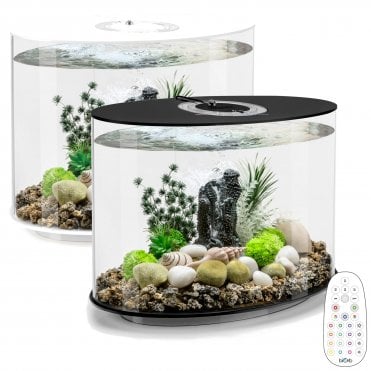 LOOP 30 Aquarium with Multi Colour LED Light