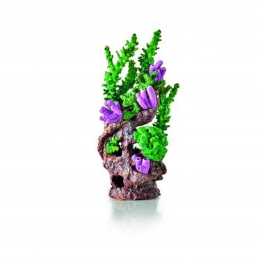 Reef Ornament green