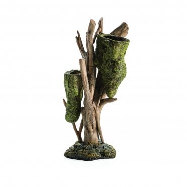 Root with Bee Hive L