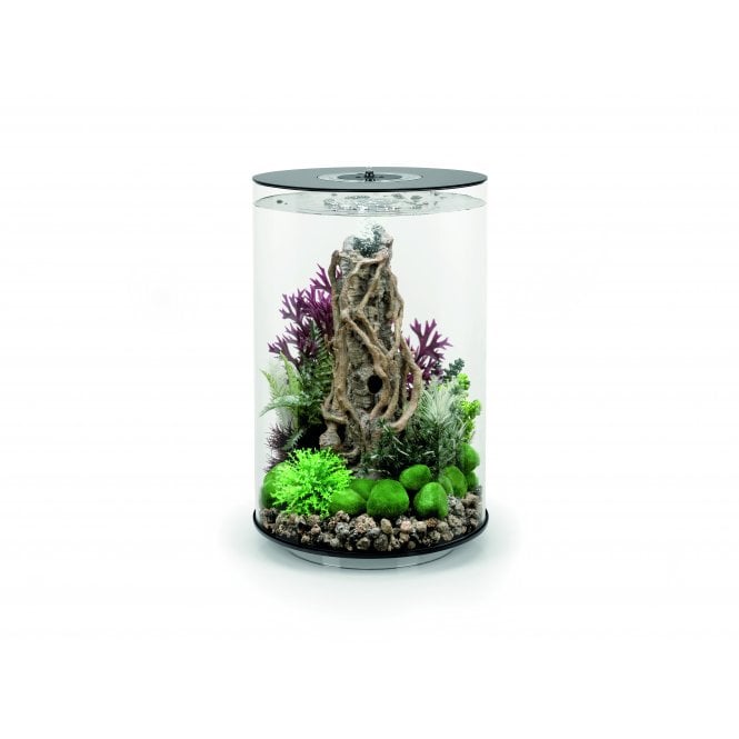 Acquario BiOrb Tubo 30 LED Nero: Completo Di Illuminazione, Filtro E Pompa - Pronto All'uso!