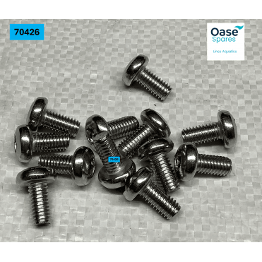 Oval head screw Torx V2A ISO14583 M6x12