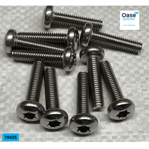 Oval head screw Torx V2A ISO14583 M6x25