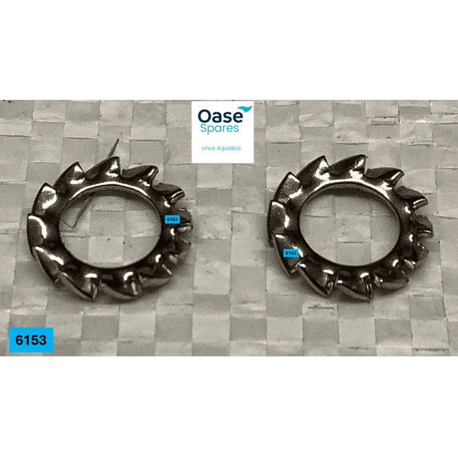Oase - Spares Serrated washer V2A DIN 6798 A 6.4