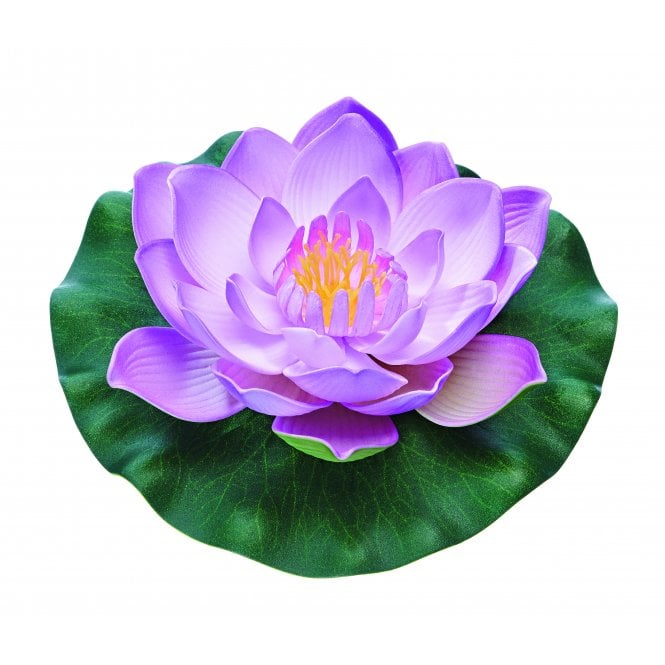 PonTec PondoLily purple