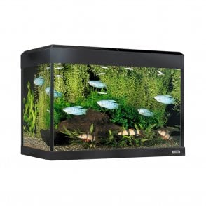 Roma 90 - Aquarium Only - Black
