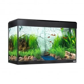 Fluval Roma 125 - Aquarium Only - Black
