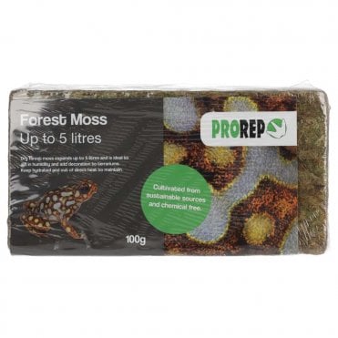 Forest Moss Brick 100g