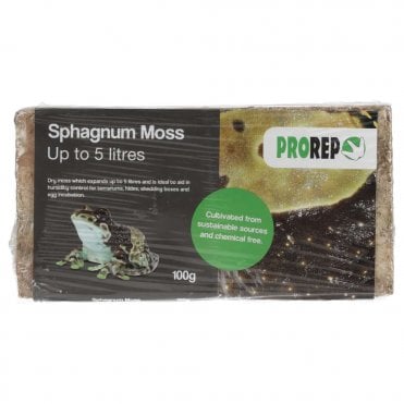 Sphagnum Moss Brick 100g
