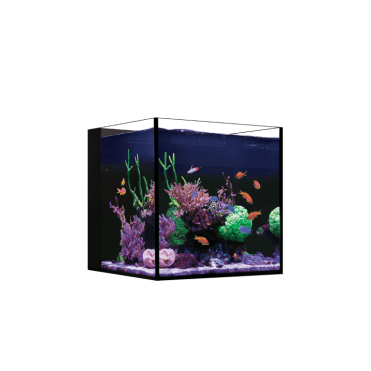 Max Nano - Aquarium Only