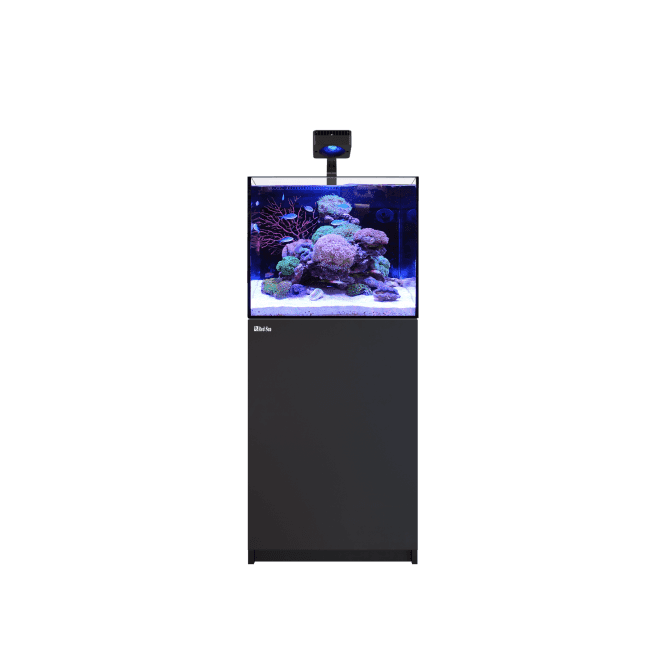 Red Sea  REEFER Deluxe G3 - Black