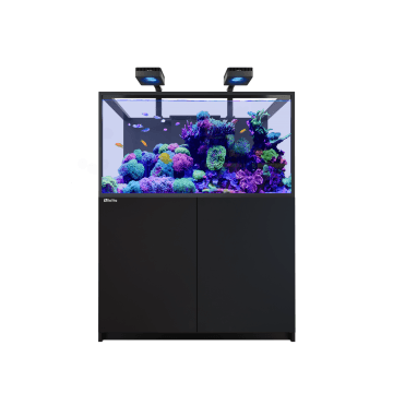 Red Sea REEFER Deluxe  S G3 - Black