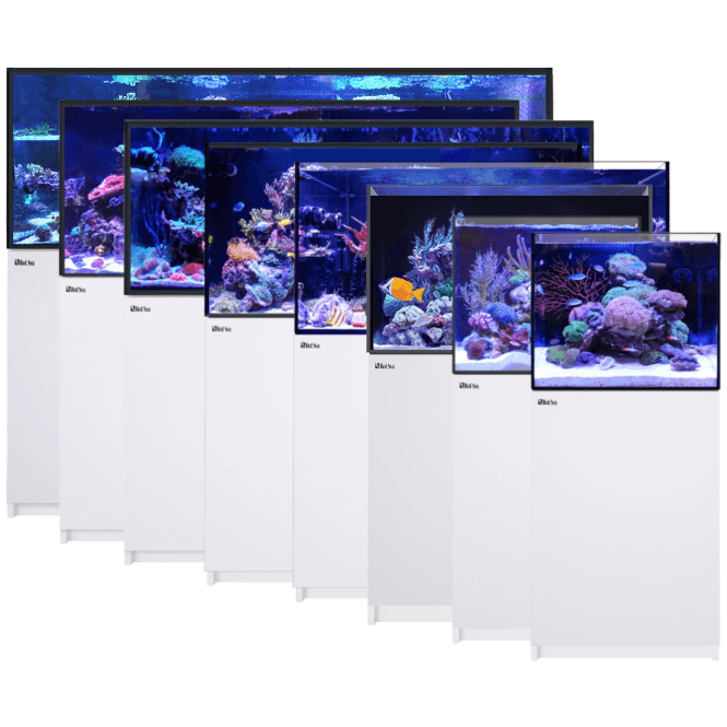 Red Sea  REEFER G3 - White