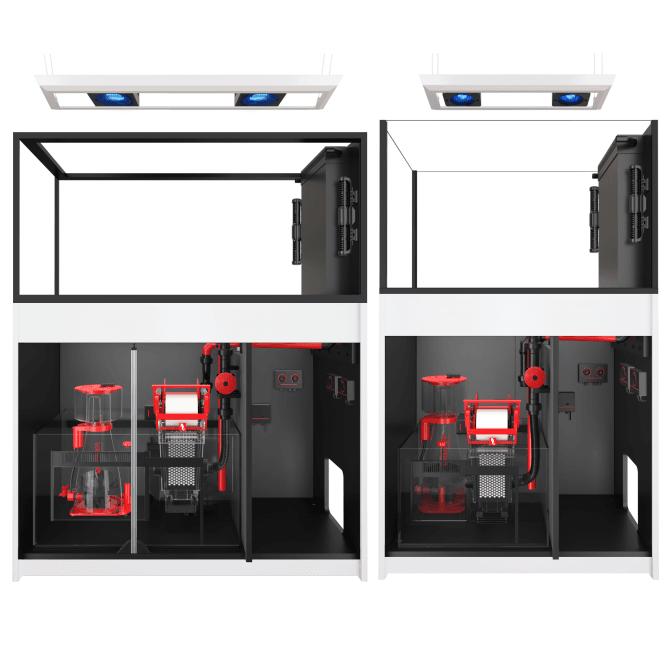 Red Sea REEFER MAX Peninsula G3 - White