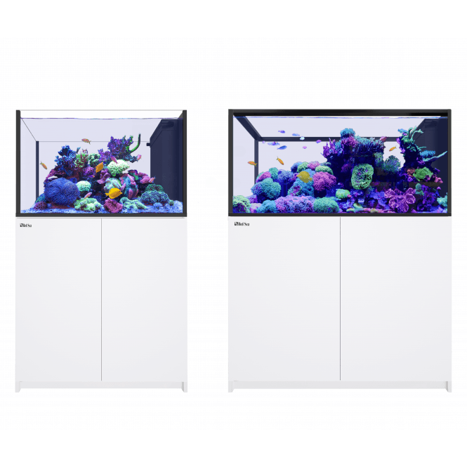 Red Sea  REEFER Peninsula G3 - White