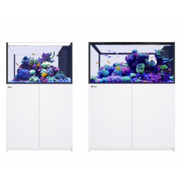 Red Sea REEFER Peninsula G3 - White