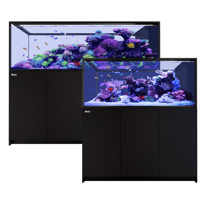 Red Sea  REEFER Peninsula S G3 - Black