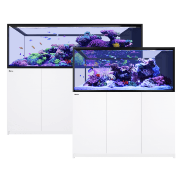 Red Sea REEFER Peninsula S G3 - White