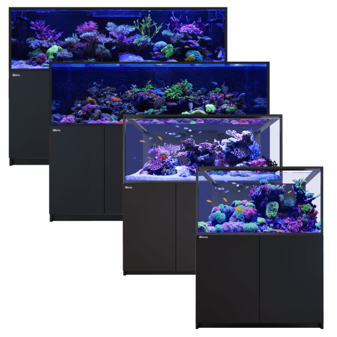 Red Sea  REEFER S G3 - Black