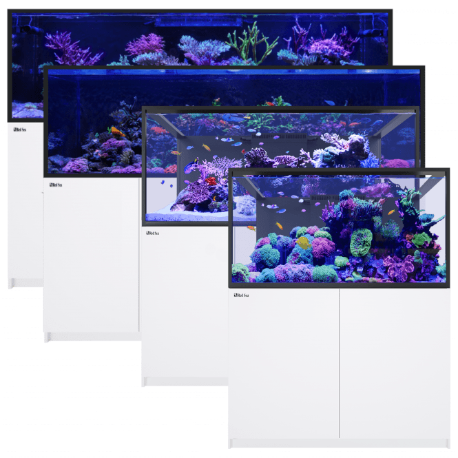 Red Sea  REEFER S G3 - White
