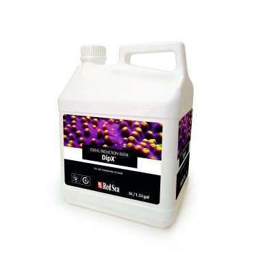 DipX - 5L
