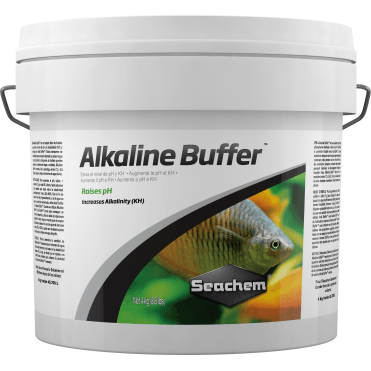 Alkaline Buffer 4000G