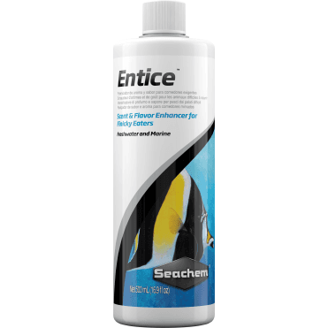 Entice 500ml