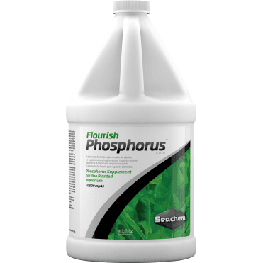 Flourish Phosphorous 2L