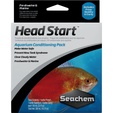 Head Start