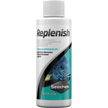 Replenish 100ml