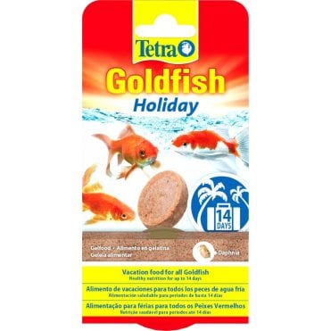 Goldfish Holiday