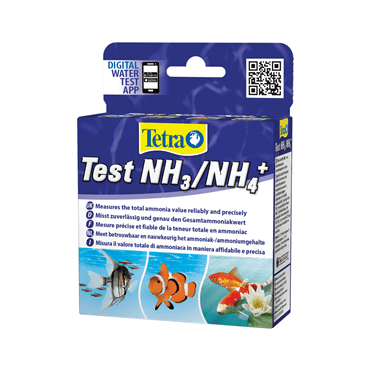 Test Ammonia (NH3/NH4+)