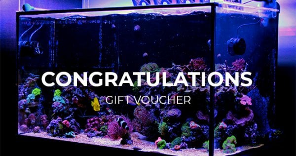 Congratulations